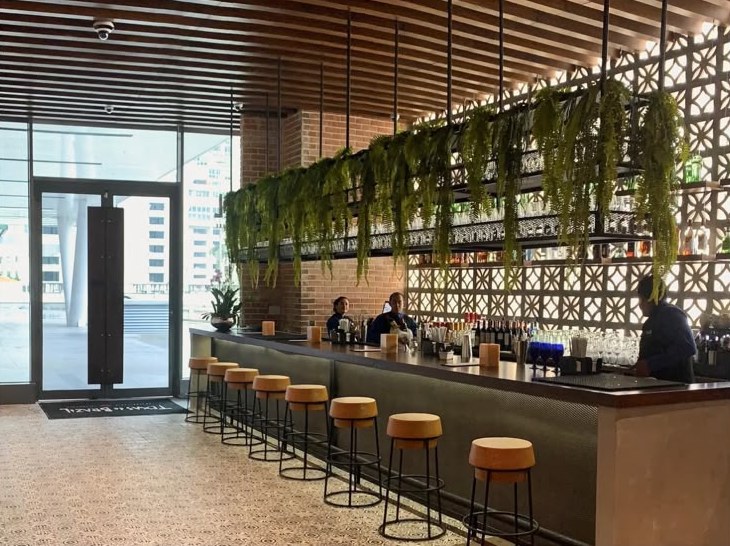 Barra de Texas de Brazil con plantas colgantes